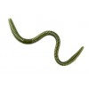 Xcite Baits Maximus Worm 25 Pack